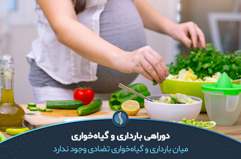 زنان، بارداری و گیاه‌خواری|ژین طب
