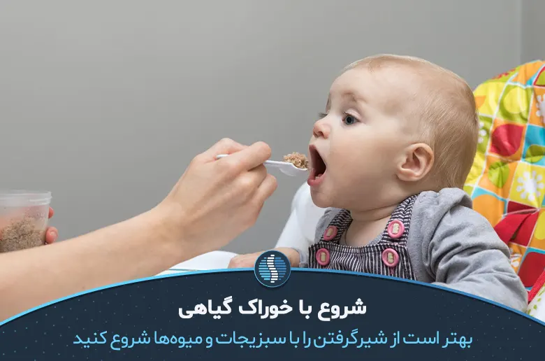 مصرف سبزیجات له شده در تغذیه کودک بعد از شیر گرفتن|ژین طب