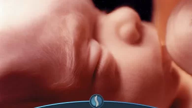 رشد چشم‌های جنین در رحم مادر| ژین طب