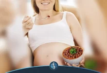خوردن باقالی در بارداری-ژین طب