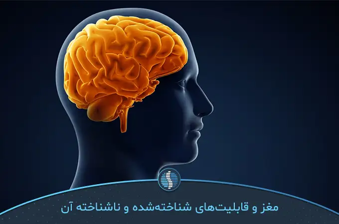 بهترین مولتی ویتامین برای تقویت حافظه در همه عملکردهای مغز اثر دارد|ژین طب