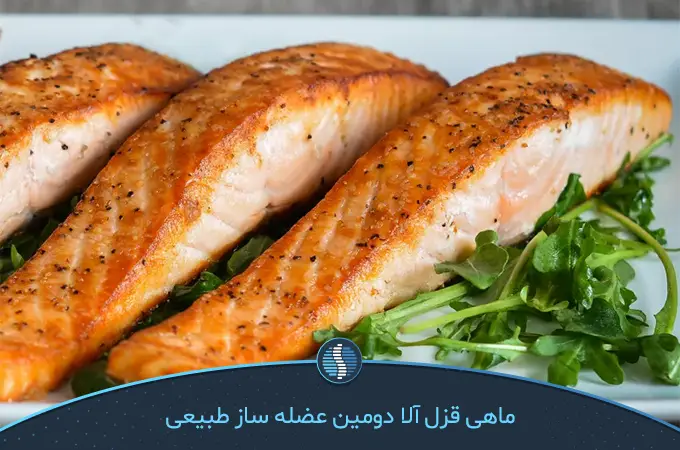 ماهی قزل آلا؛ غذایی عالی بهترین ورزش برای عضله سازی مردان| ژین طب