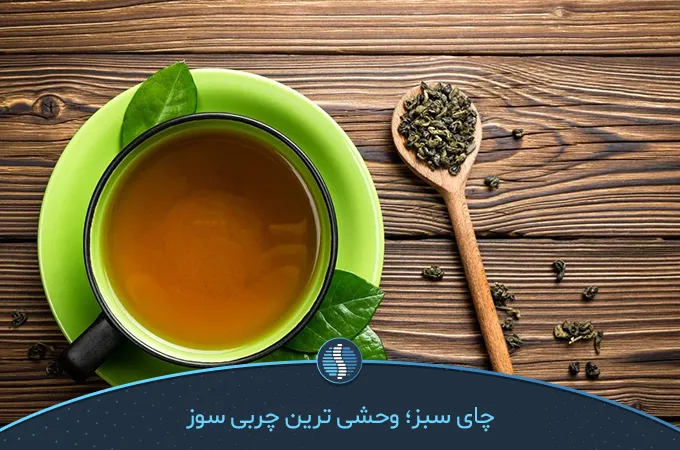 چای سبز وحشی ترین چربی سوز قوی طبیعی | ژین طب