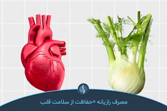 مصرف رازیانه؛ سلامت قلب|ژین طب