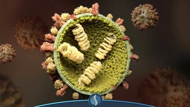 علائم اولیه آنفولانزا چیست| ژین طب