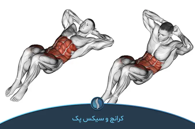تمرین کرانچ (Crunch) ساده‌ترین تمرین برای تقویت عضلات شکم|ژین طب