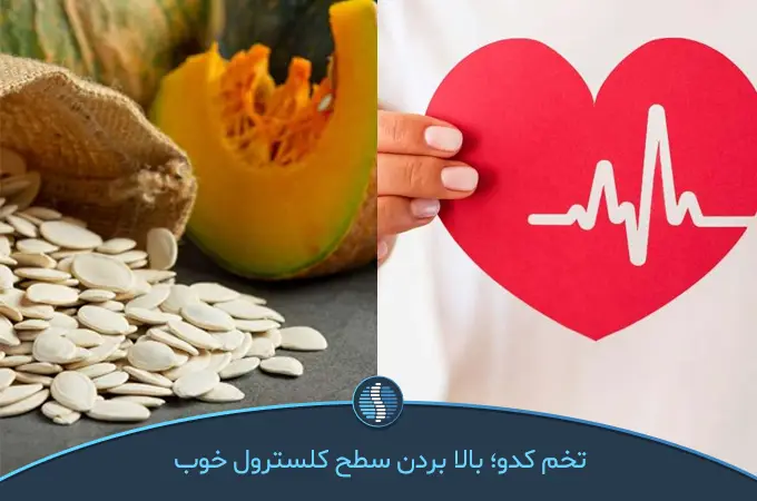 سلامت قلب با مصرف تخم کدو | ژین طب