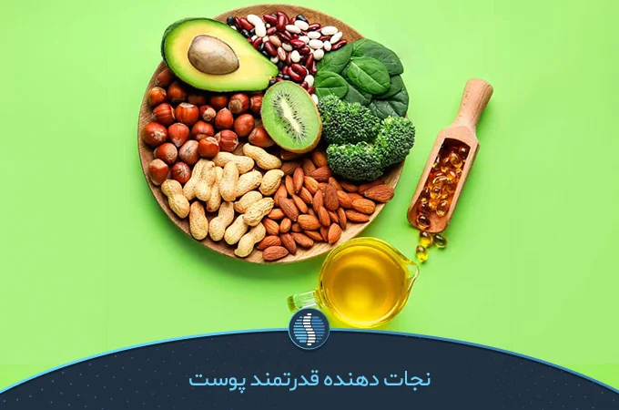 مواد غذایی سرشار از ویتامینE  | ژین طب