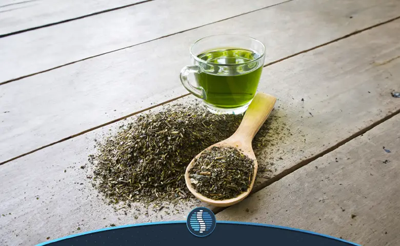 فواید مصرف چای سبز | ژین طب