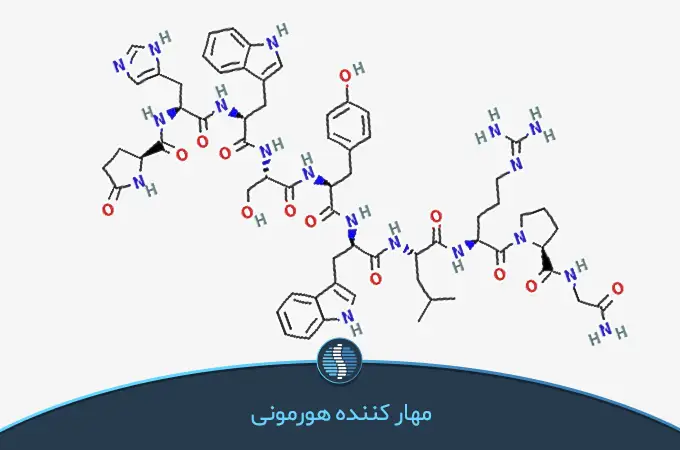 فرمول شیمیایی دکاپپتیل | ژین طب
