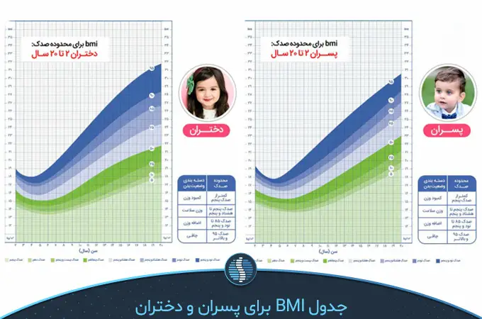 جداول BMI برای هر جنس | ژین طب