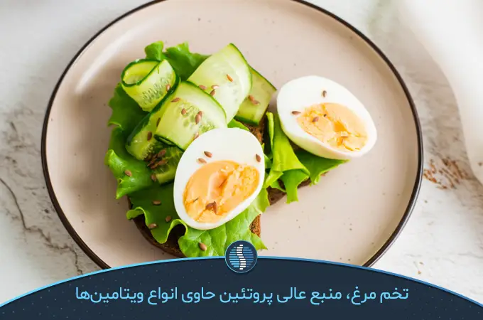 شام سبک تخم مرغ به همراه سبزیجاتی مانند کدو و اسفناج | ژین طب