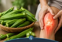 بامیه برای زانودرد| ژین طب